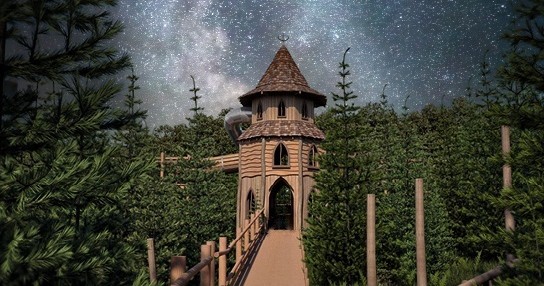 Stargazing at Plotters Forest & Raby Castle