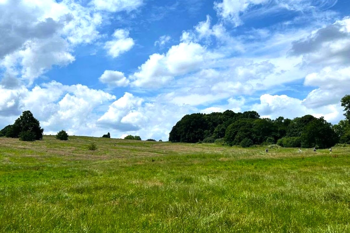 Hampstead Heath