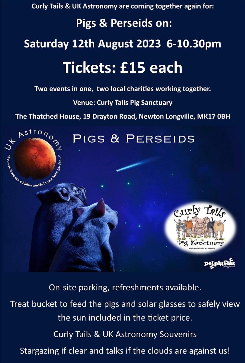 Pigs and Perseids 2023