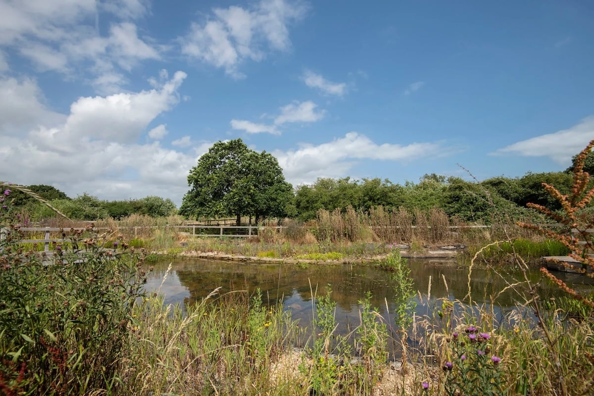 Astronomy Night at RSPB Pagham Harbour