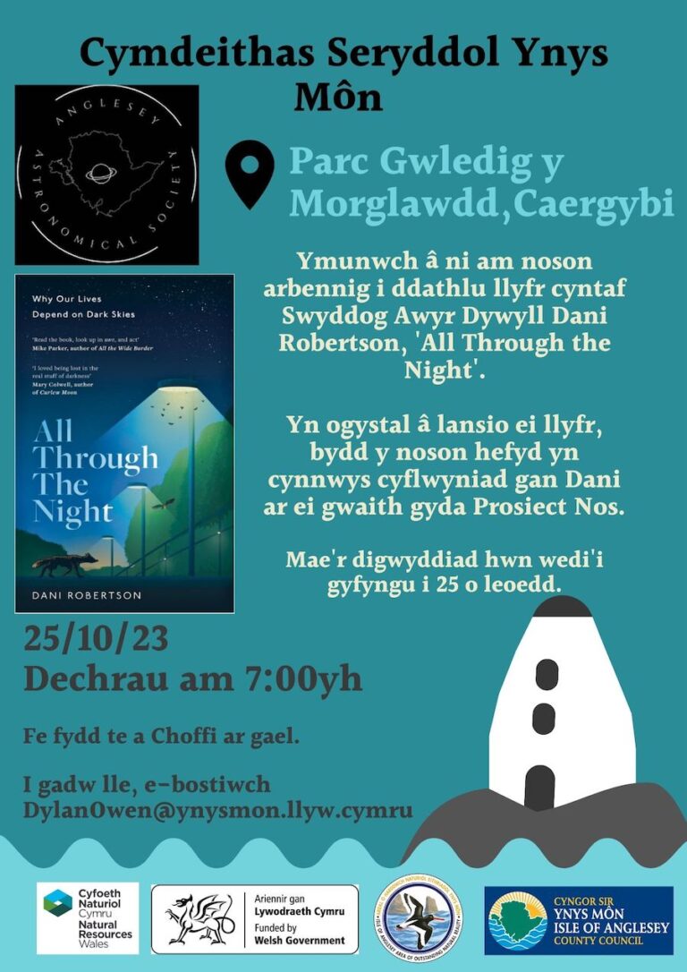 All Through the Night book launch poster in Welsh