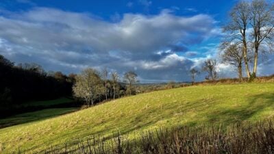 Cambrian Cottages