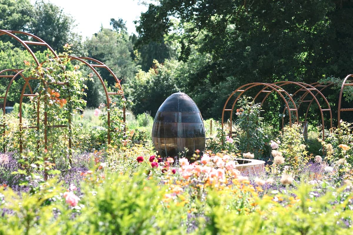 Stargazing Workshop at Carey's Secret Garden