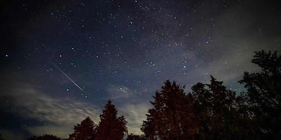 Stargazing and Geminds meteor shower at Botton Village