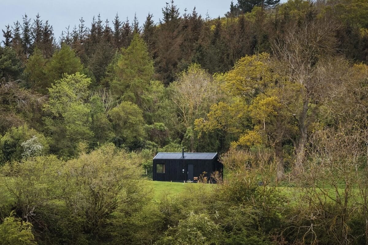 Castor - Shacks Wild Stargazing Lodge