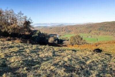 Maia - Shacks Wild Stargazing Lodge