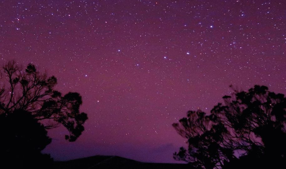 Forest of Stars and Mindful Stargazing