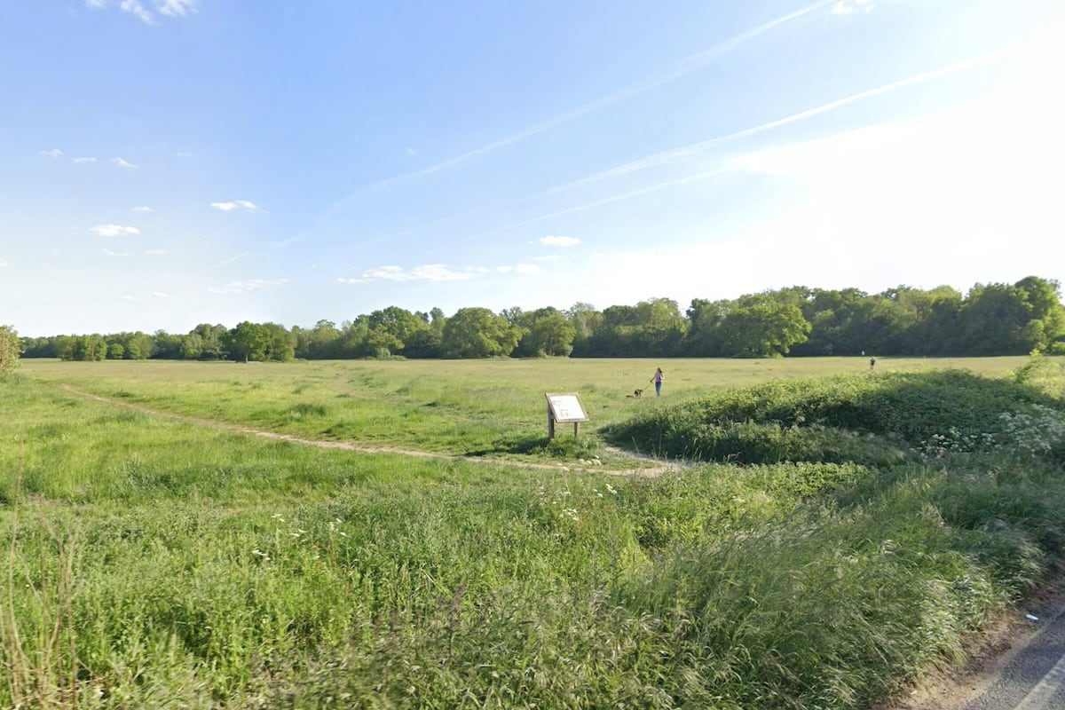 Pinkney's Green Common