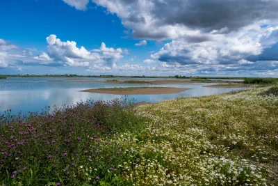 Astronomy Night at RSPB Frampton