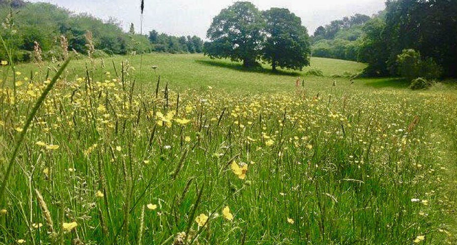 Lower Hoopern Valley