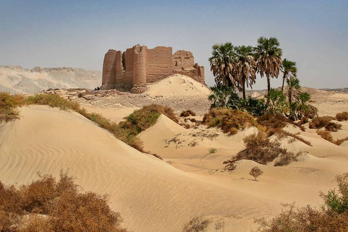 See the total solar eclipse in Egypt (Alexandria, Kharga, Asyut observation camp, Minya, Cairo)